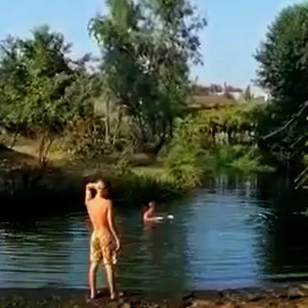 昆塔阿尔维斯乡村民宿 帕科斯费雷拉