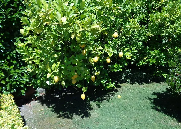 昆塔阿尔维斯乡村民宿